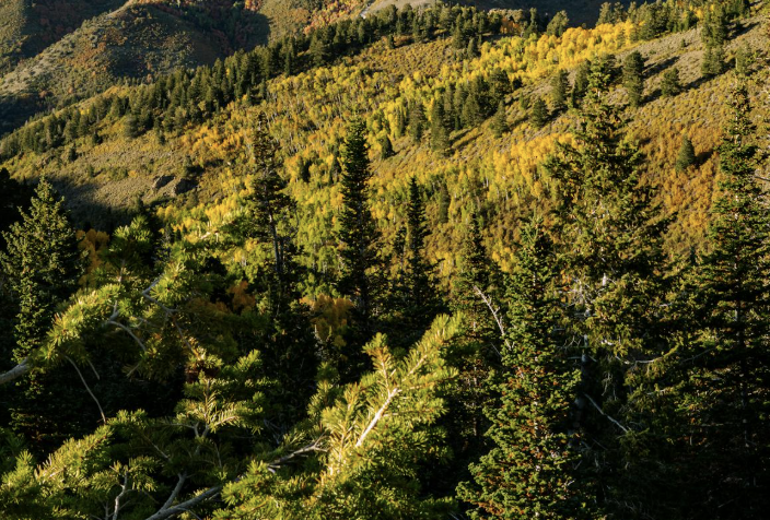 Featured image for “A Richfield, Utah Weekend Itinerary: Off-Road Adventure, Ancient History & Local Flavor”